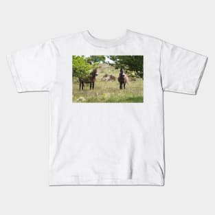 Exmoor Ponies Kids T-Shirt